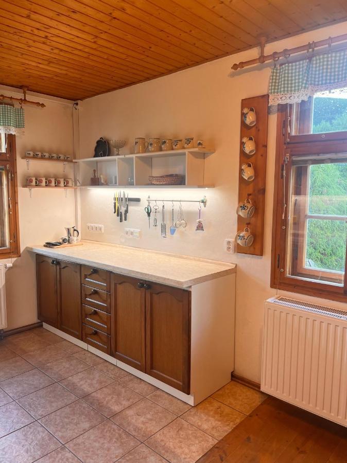 Bridlicna Roubenka Jeseniky 빌라 외부 사진
